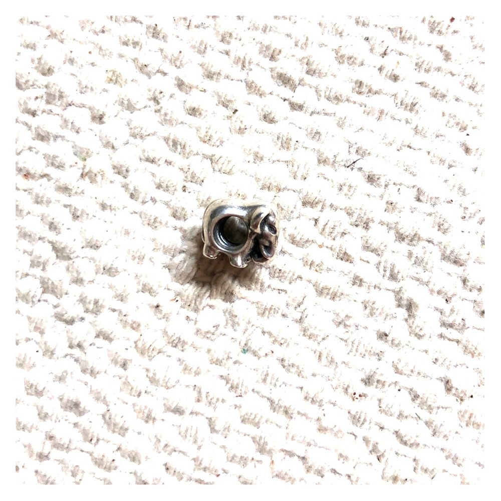 Pandora charm